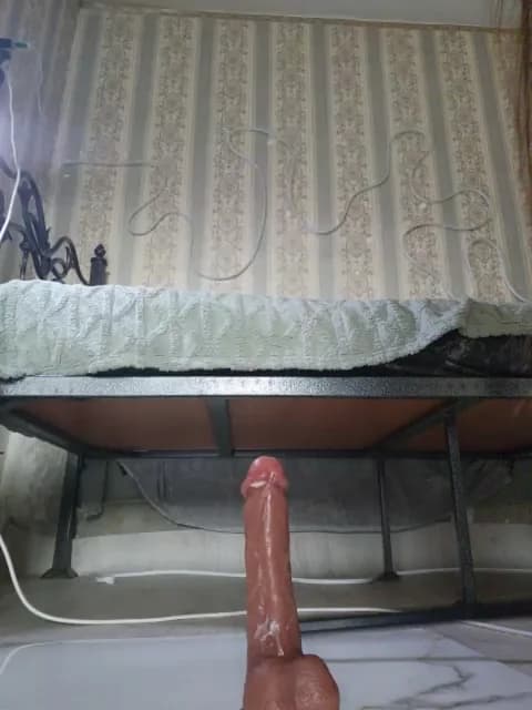 Gentlyplease1 @ BongaCams • Recorded April 5, 2026 05:10 • 54m