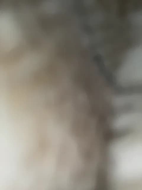 KARASEVDAKINOGO @ BongaCams • Recorded February 4, 2026 10:25 • 78m