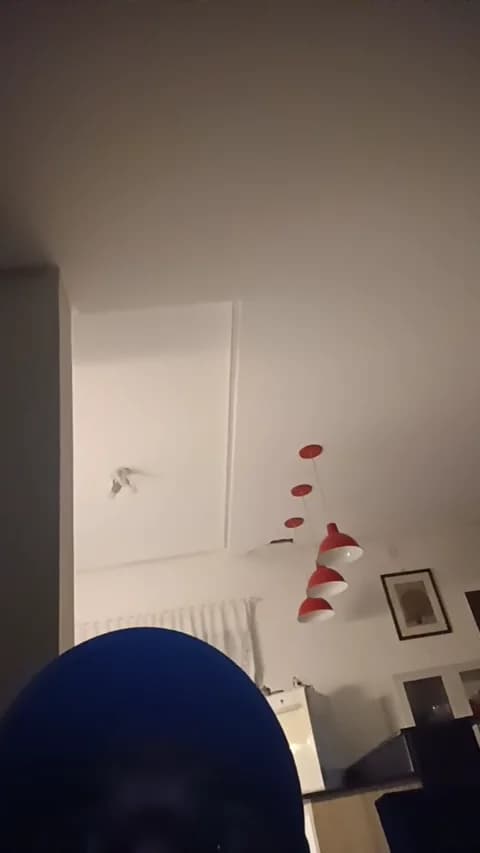 PeludassoBaiano @ Cam4 • Recorded April 18, 2026 03:29 • 32m