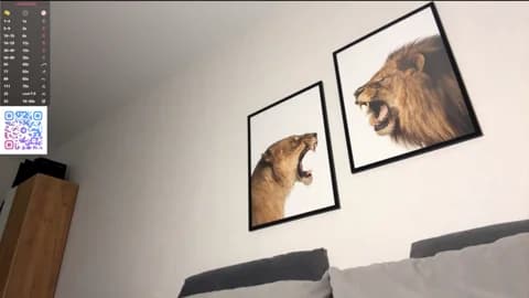 PetulaGunton @ Stripchat • Recorded January 16, 2026 24:21 • 36m