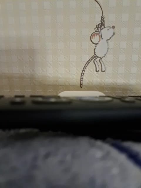 SweetPraGG @ BongaCams • Recorded February 2, 2026 23:09 • 36m