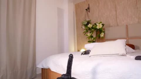 ana_maria11 @ Chaturbate • Recorded January 12, 2026 09:39 • 120m