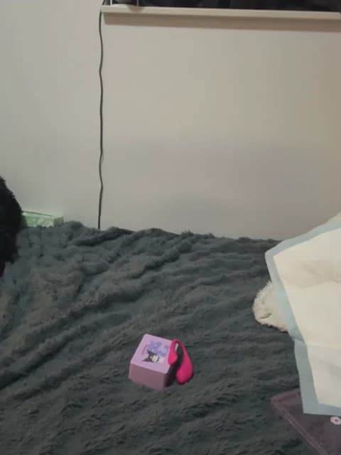 jura_xxx @ Stripchat • Recorded May 7, 2026 11:48 • 31m