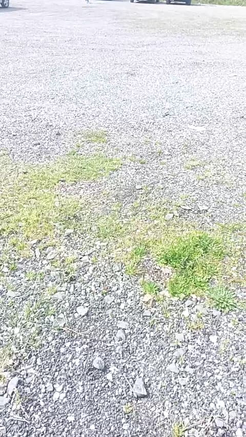 livenews1 @ Cam4 • Recorded March 15, 2026 11:39 • 48m