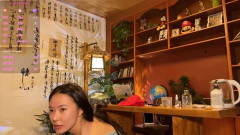 meowLili @ Stripchat • Recorded April 12, 2026 14:13 • 62m