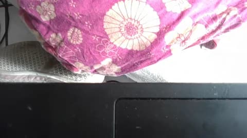 pilarcita33 @ Cam4 • Recorded April 25, 2026 09:42 • 31m