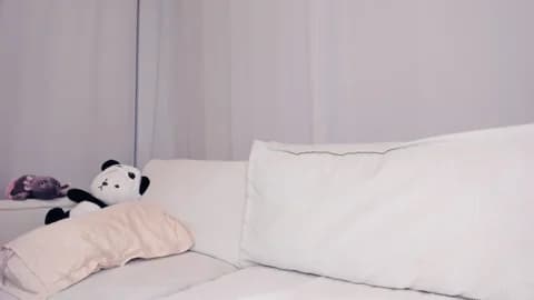 rina_tv @ Stripchat • Recorded January 12, 2026 01:28 • 41m