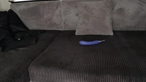 sunshineeve @ Chaturbate • Recorded January 12, 2026 12:05 • 93m