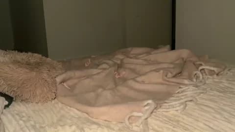 taliavaine @ Chaturbate • Recorded January 19, 2026 20:56 • 100m